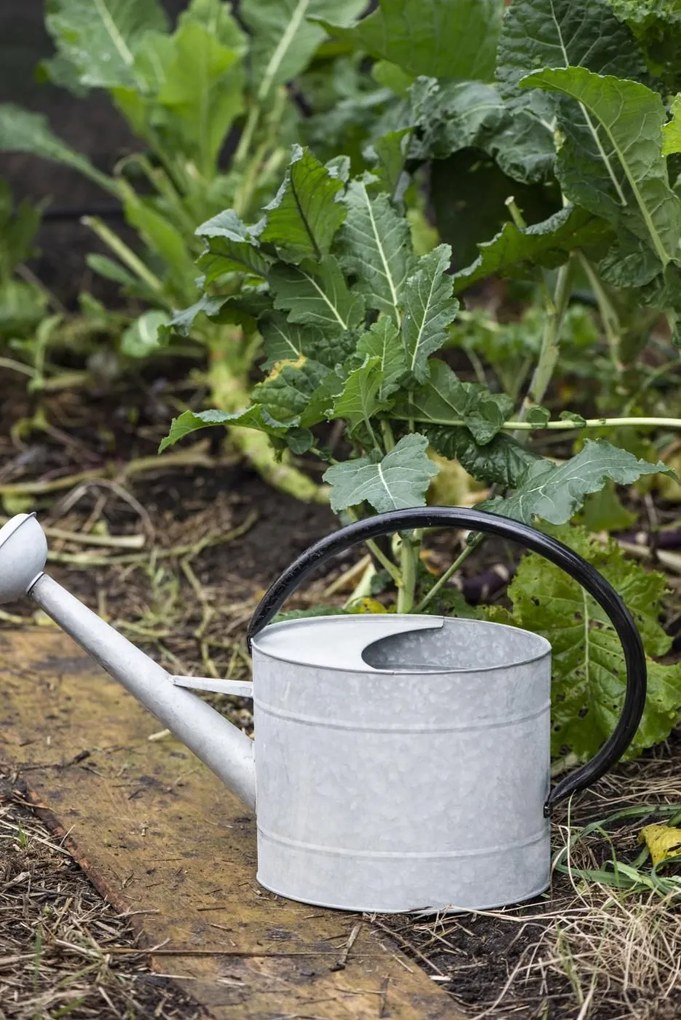 Ib Laursen Kovová záhradná krhla Zinc 5 l