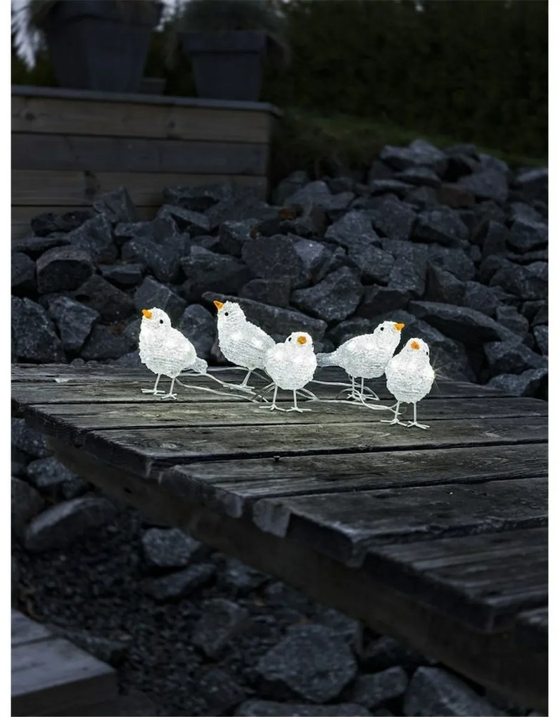 Vianočná vonkajšia dekorácia Vtáčiky, 40 LED, 5 ks