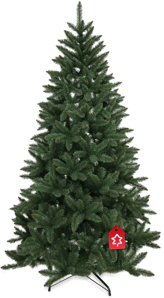 Smrek Kanadský 180 cm