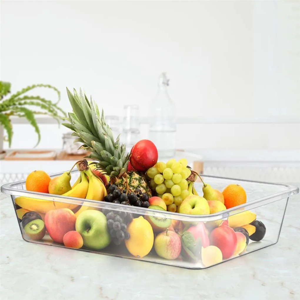 Orion Plochý transparentný box bez veka, miska, S - 25x17x6 cm BOWL