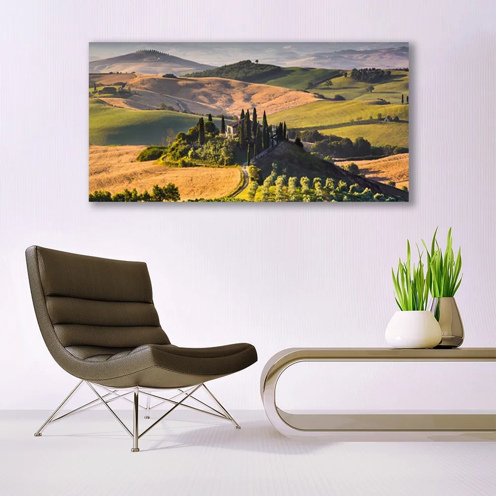 Obraz plexi Príroda vrchoviny lúky domček 120x60 cm