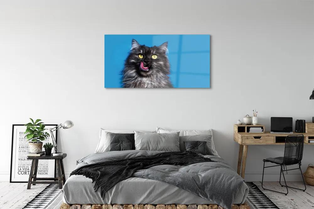Obraz na akrylátovom skle Oblizujący mačka 125x50 cm