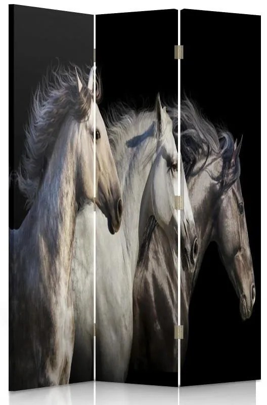 Gario Paraván Tri kone Rozmery: 110 x 170 cm, Prevedenie: Otočný paraván 360°