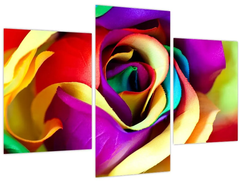 Obraz - Farebná ruža (90x60 cm)