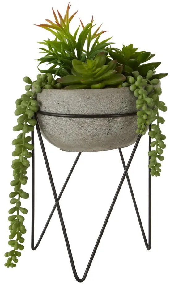 Umelý sukulent (výška 36 cm) Fiori – Premier Housewares