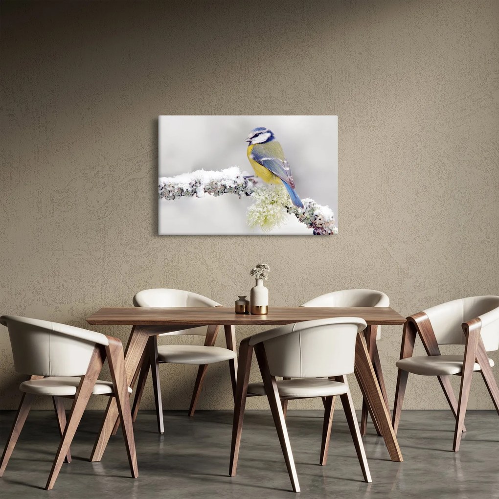 Obraz - Sýkorka (90x60 cm)