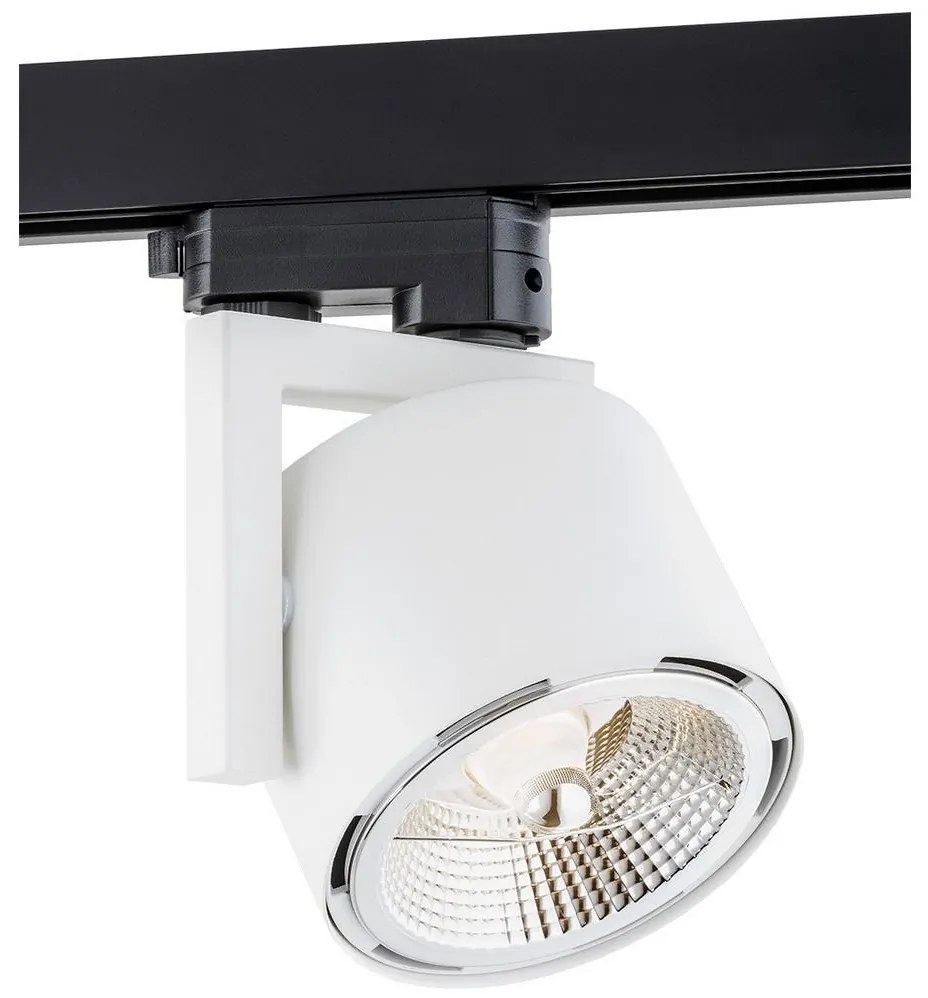 Argon 4750 - Bodové svietidlo ALTO 1xGU10-AR111/12W/230V biela