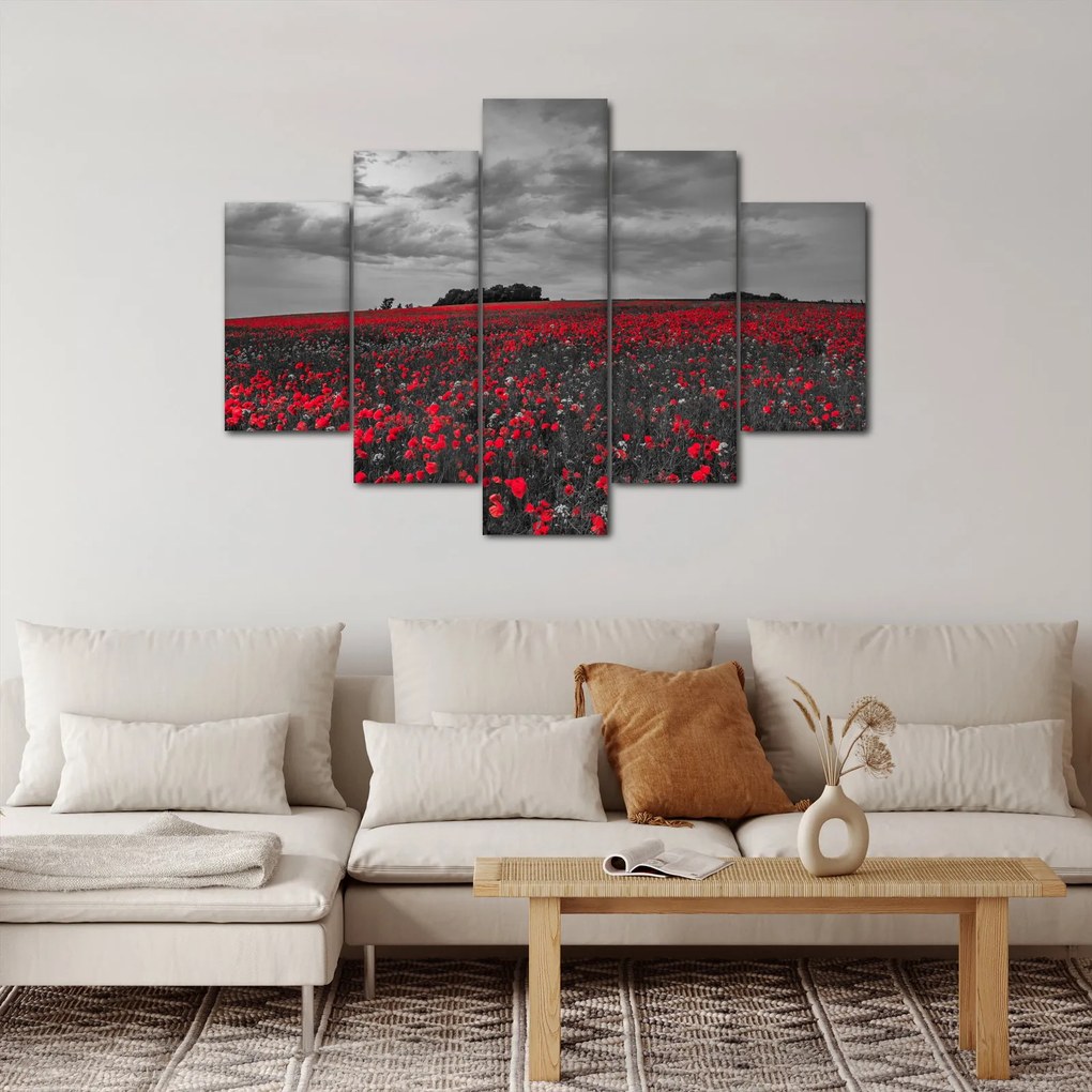 Obraz vlčích makov (150x105 cm)