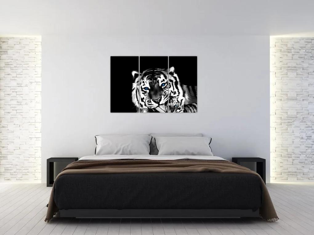 Obraz tigra s mláďaťom