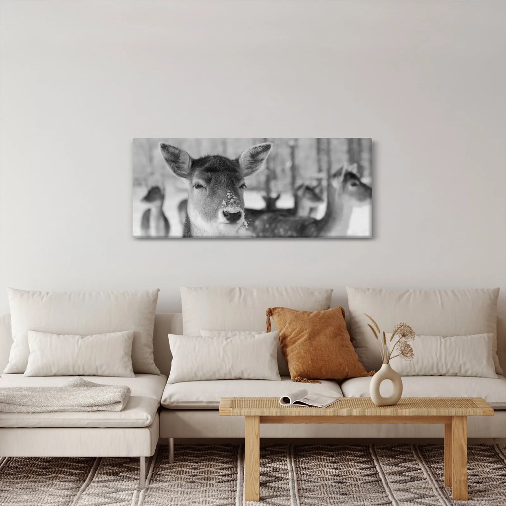 Obraz - Jelenča, čiernobiela (120x50 cm)