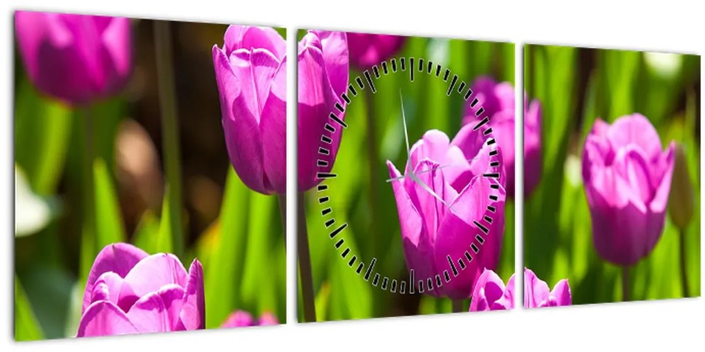 Obraz tulipánov na lúke (s hodinami) (90x30 cm)