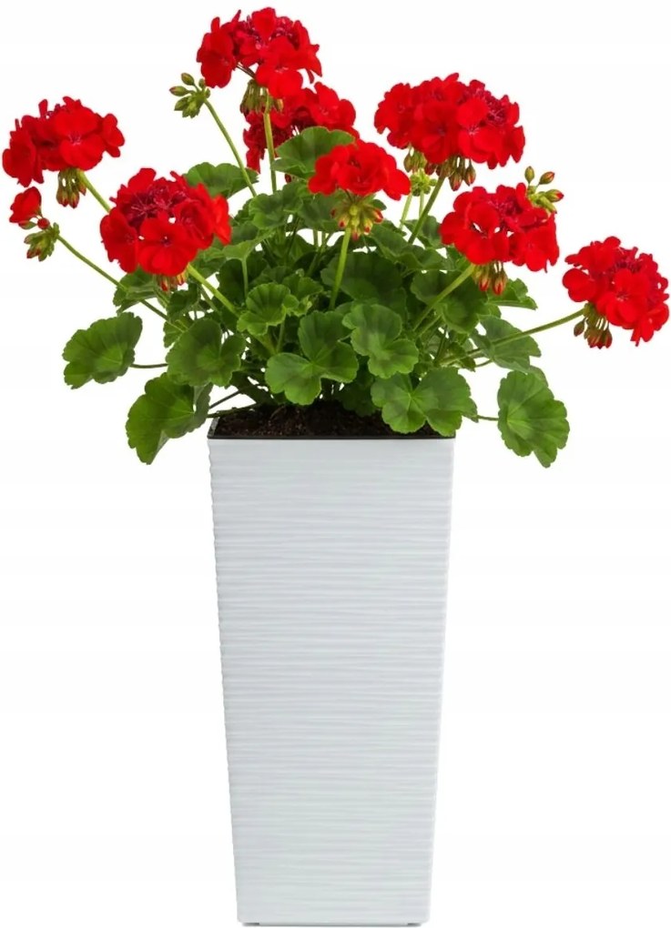 Sada 3 ks květináčů Porto Riflo 57x29,5/46x24,7/36,6x18,9 cm bílá