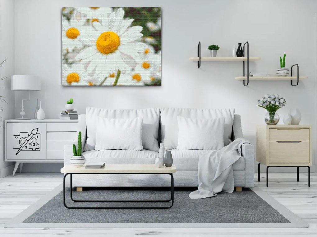 Gario Diamantové maľovanie Kopretiny Rozmery: 50 x 40 cm, Rámovanie: Iba zrolované plátno, Diamanty: Štvorcové