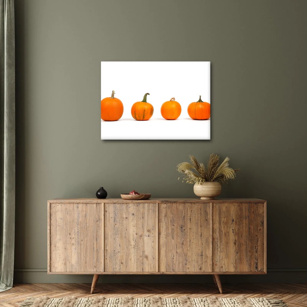 Obraz dyne (70x50 cm)