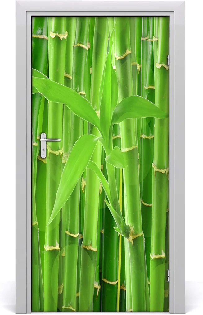 Fototapeta na dvere  bambusový les