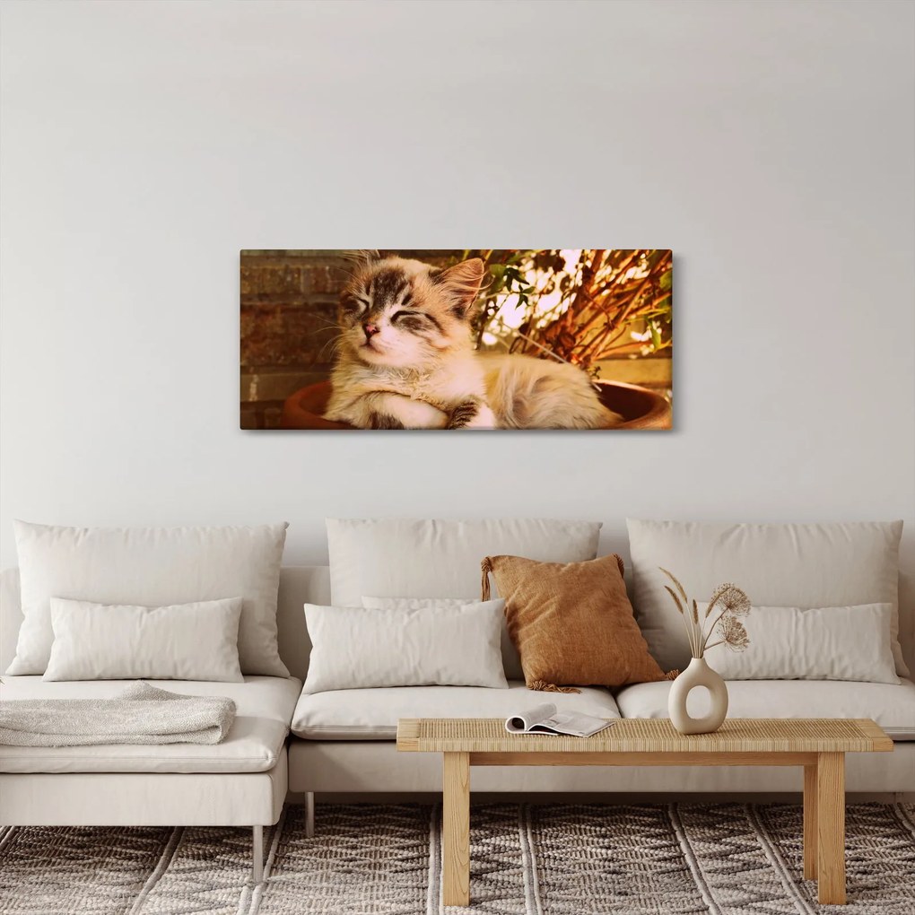 Obraz mačky v kvetináči (120x50 cm)