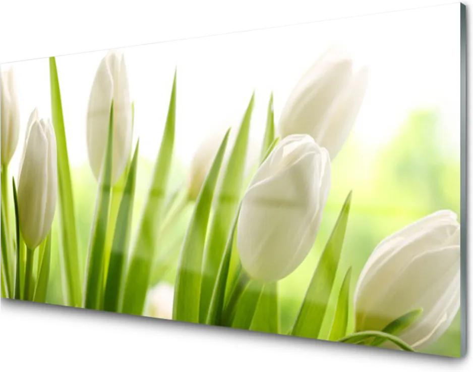 Obraz na akrylátovom skle Sklenený Tulipány Kvety
