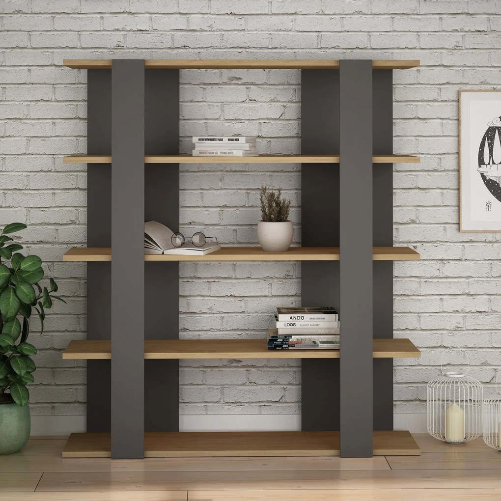 Knižnica Houseland Tita dub prírodný/antracit