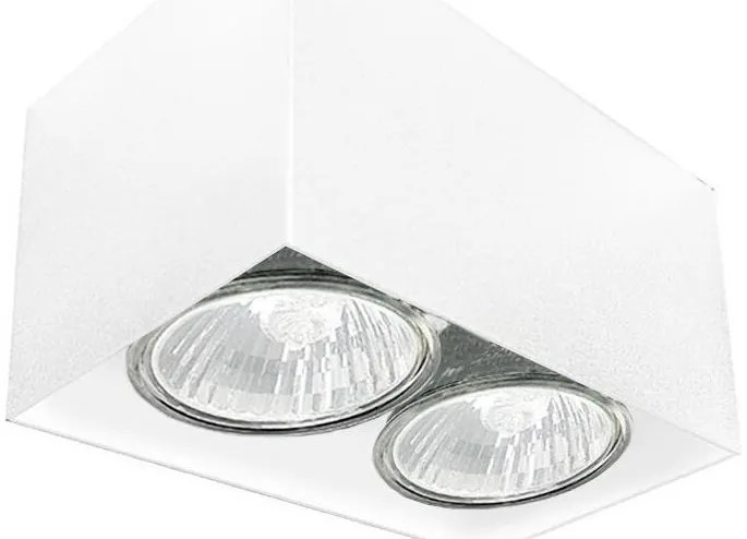 Brosline 1077 - Bodové svietidlo CAGE 2xGU10/10W/230V biela