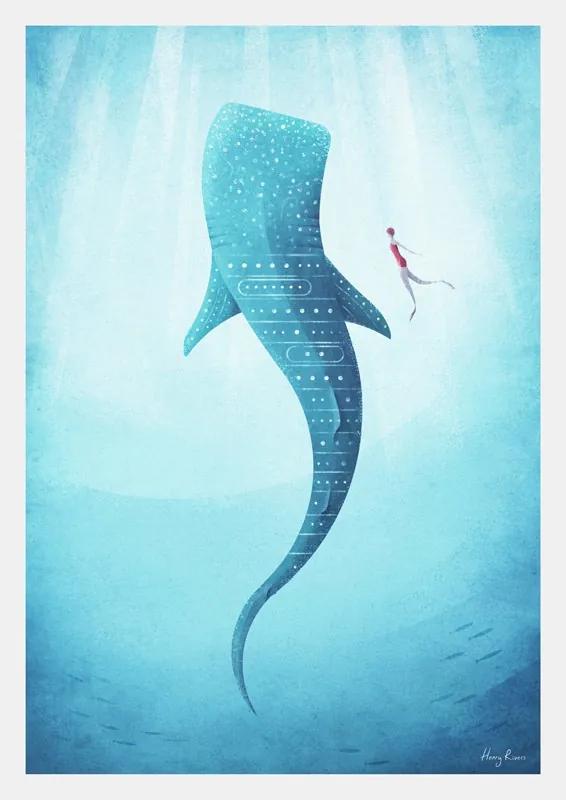 Whale Shark plagát (A3)