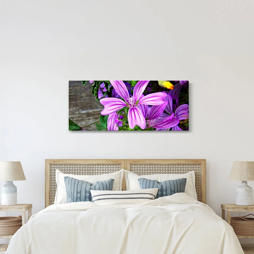 Obraz - lúčne kvety (120x50 cm)