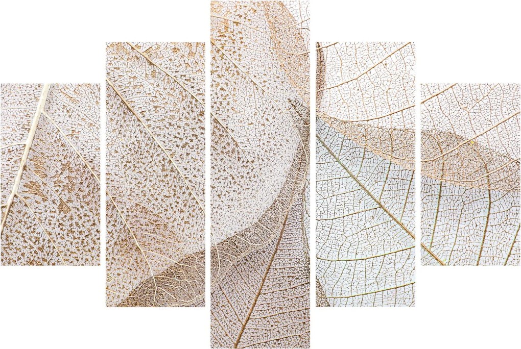 Obraz - Béžové listy (150x105 cm)