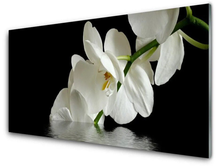 Sklenený obklad Do kuchyne Orchidea vo vode kvety 120x60 cm