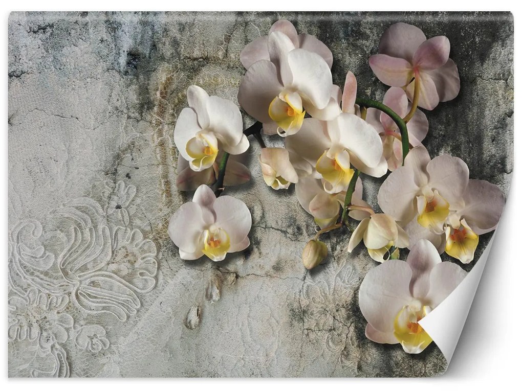 Gario Fototapeta Kvitnúce orchidey na pozadí starej steny Materiál: Vliesová, Rozmery: 200 x 140 cm