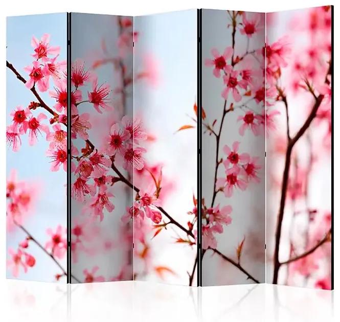 Paraván - Symbol of Japan - sakura flowers II [Room Dividers]