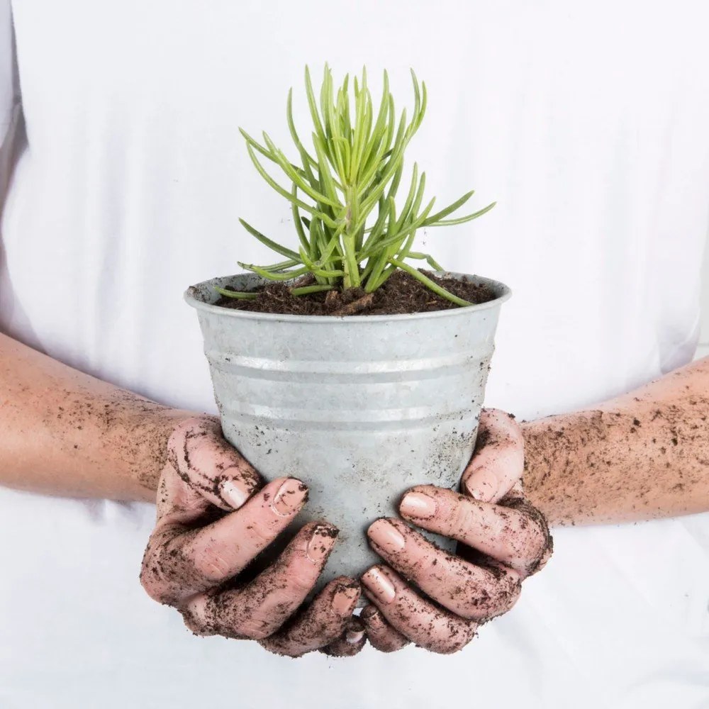 Kovový kvetináč ø 14 cm – Esschert Design