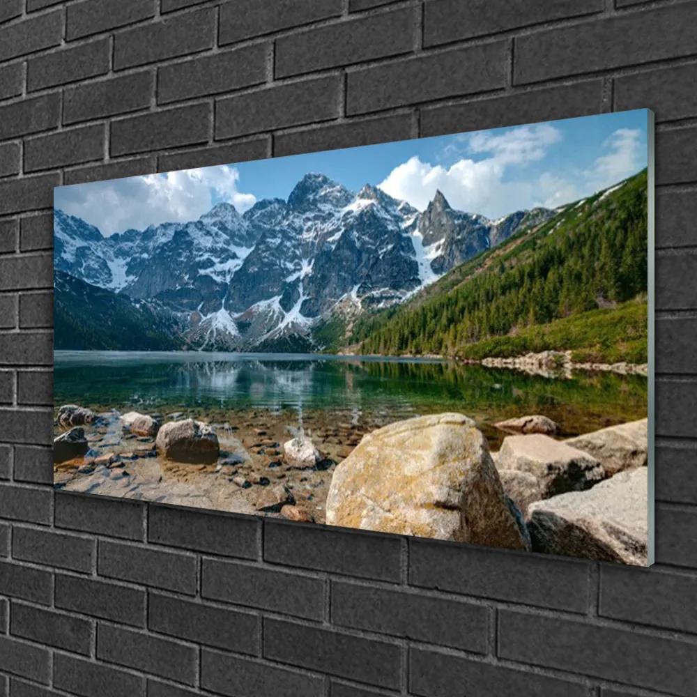 Skleneny obraz Hory les jazero kamene 100x50 cm