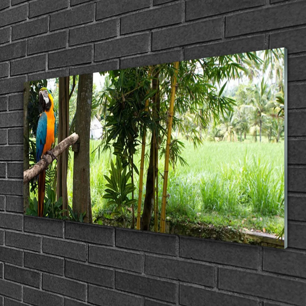 Skleneny obraz Papagáj stromy príroda 125x50 cm