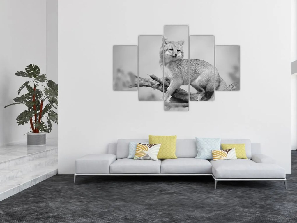 Obraz - Líška šedá (150x105 cm)