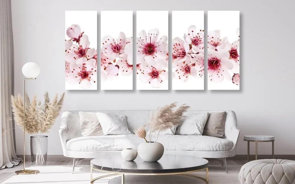 5-dielny obraz čerešňové kvety - 100x50