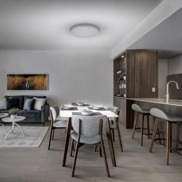 Solight WO798 - LED Stmievateľné stropné svietidlo LED/36W/230V 3000-6000K + DO