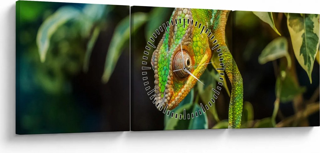 Obraz chameleóna (s hodinami) (90x30 cm)