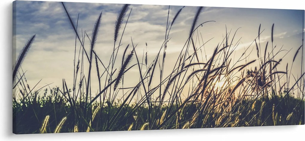 Obraz lúčnych kvetov (120x50 cm)