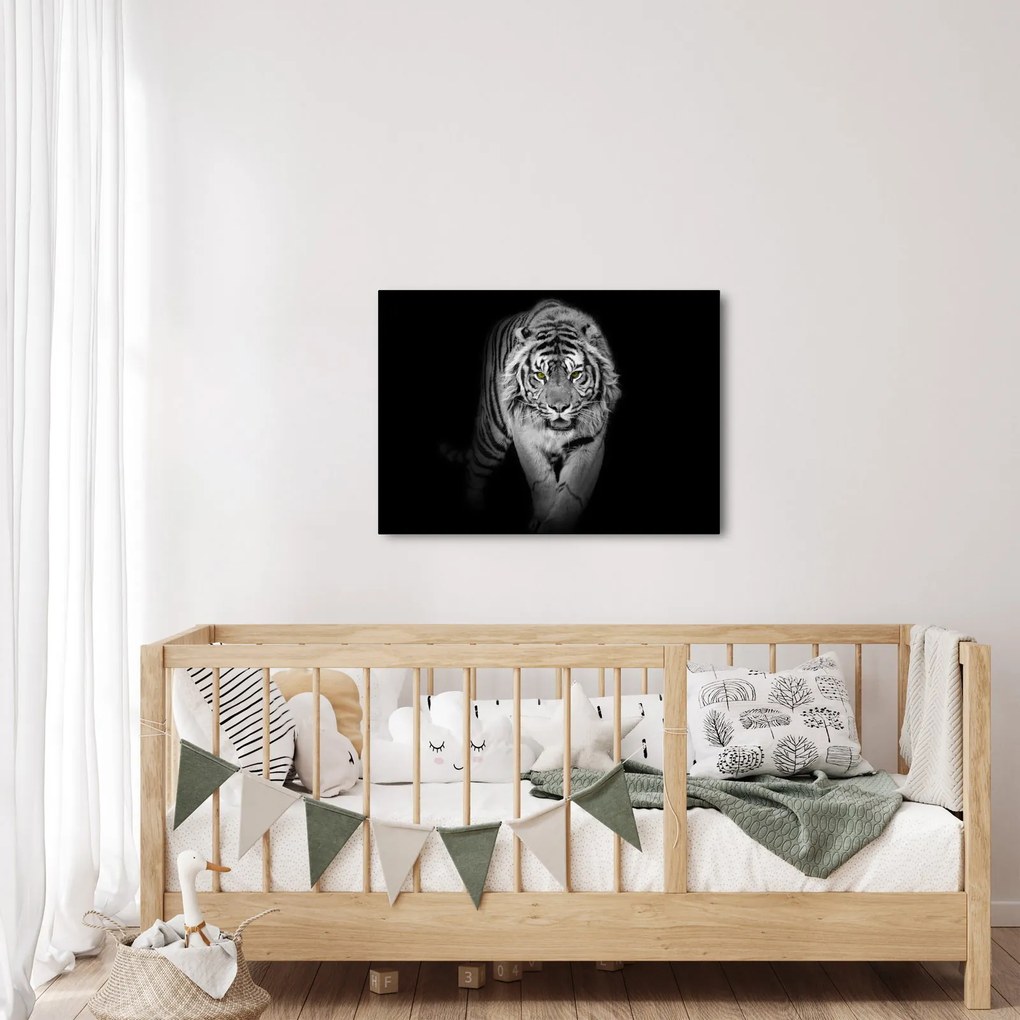Obraz - Tiger so žltými očami (70x50 cm)