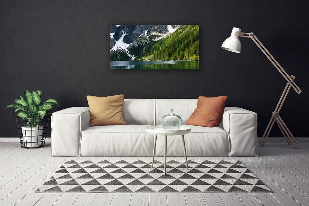 Obraz Canvas Jazero les hory príroda 100x50 cm