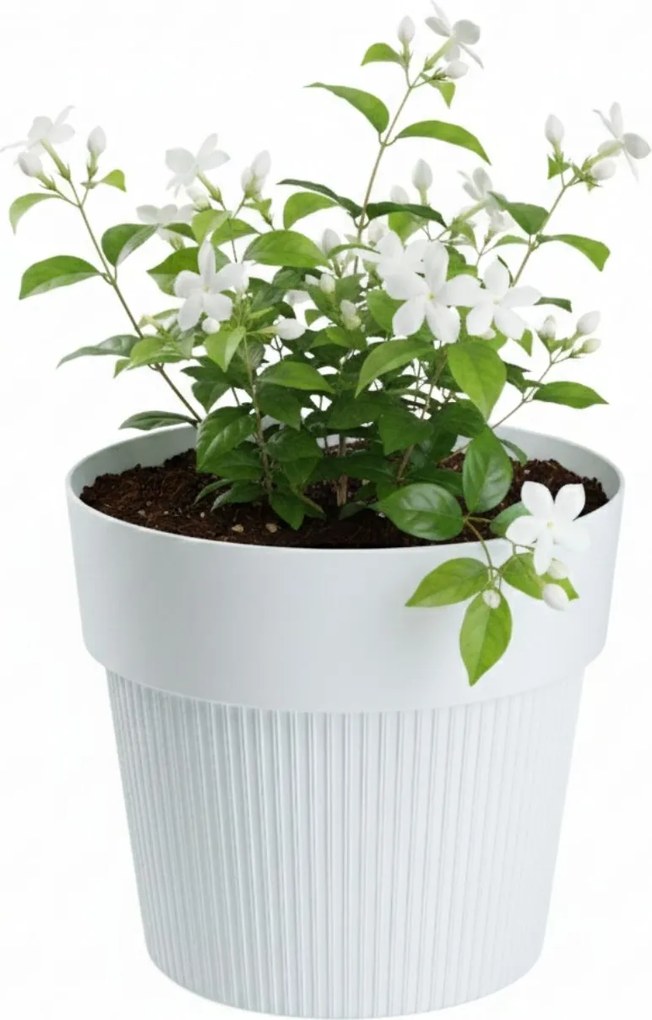 PLASTOVÝ KVETINÁČ SILVA LINE 14,5X13 CM BIELA