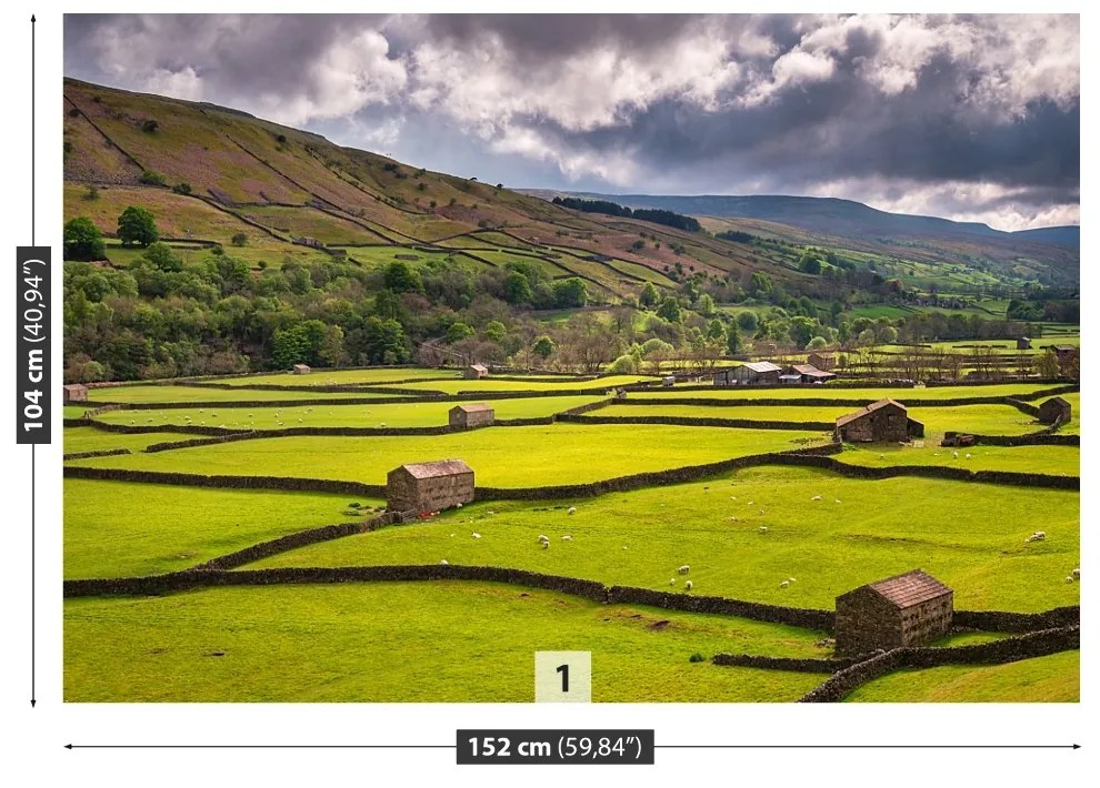 Fototapeta Vliesová Yorkshire poľa 208x146 cm