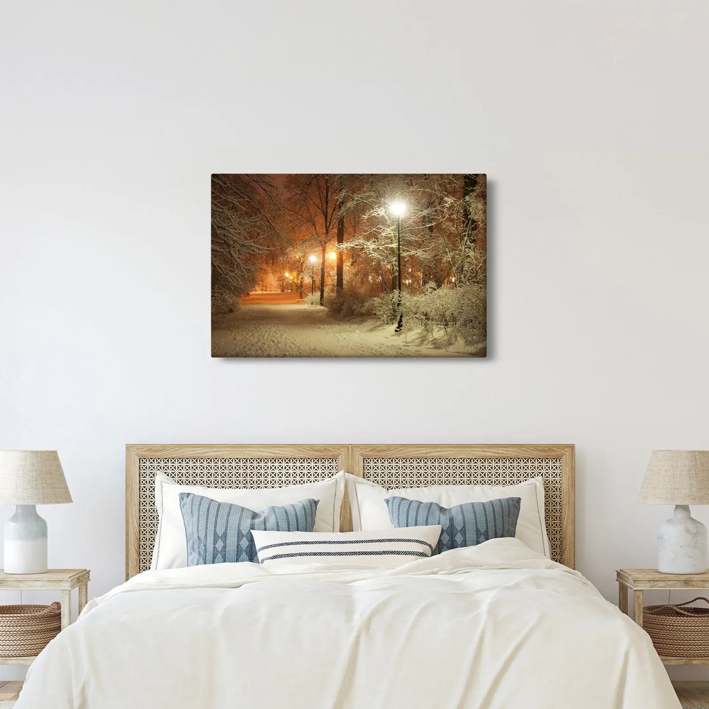 Obraz - Zasnežený park (90x60 cm)