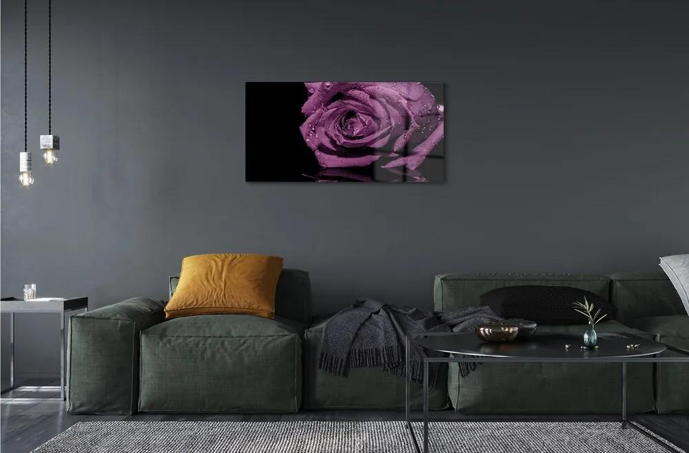 Obraz na skle purpurová ruža 125x50 cm