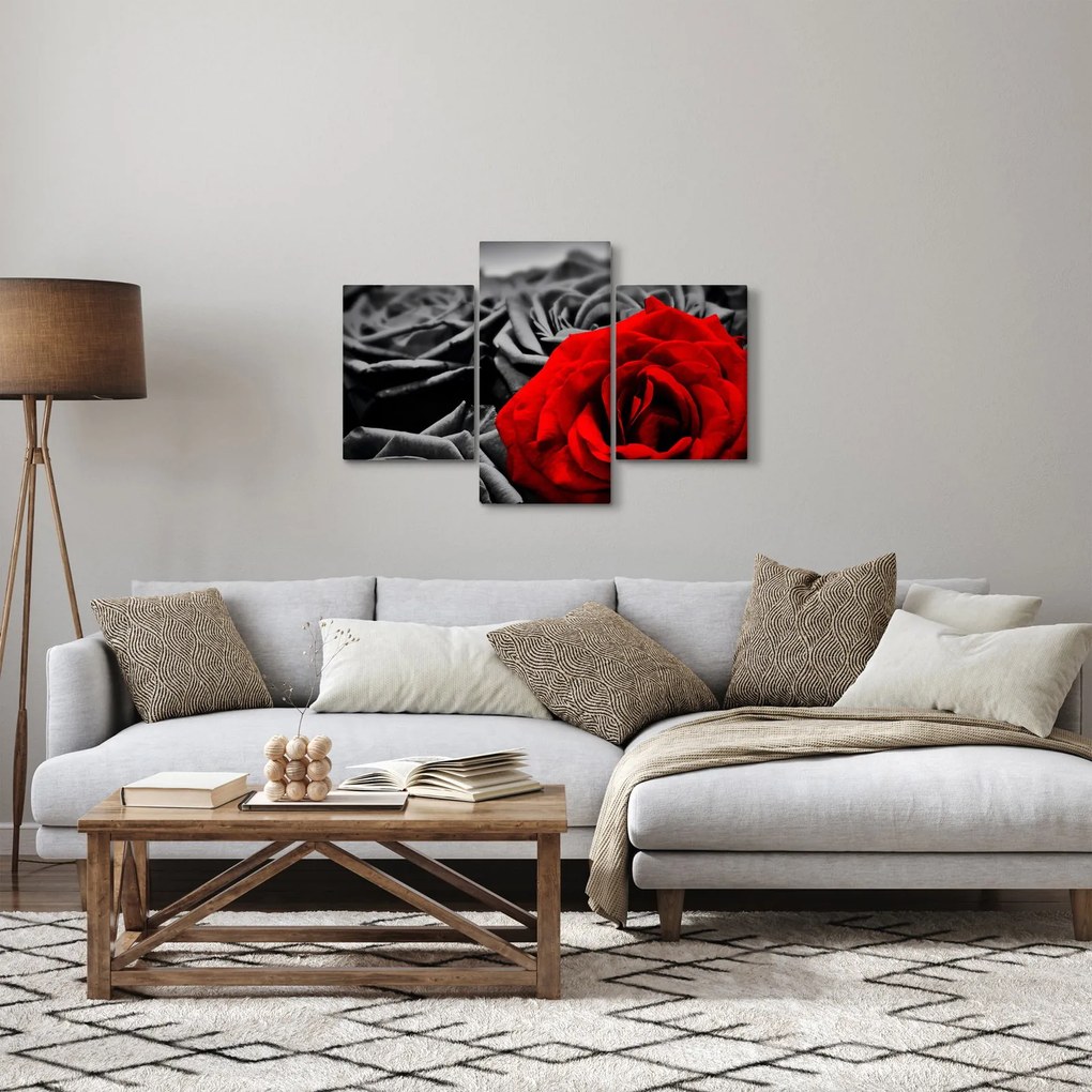 Obraz - Ruže (90x60 cm)
