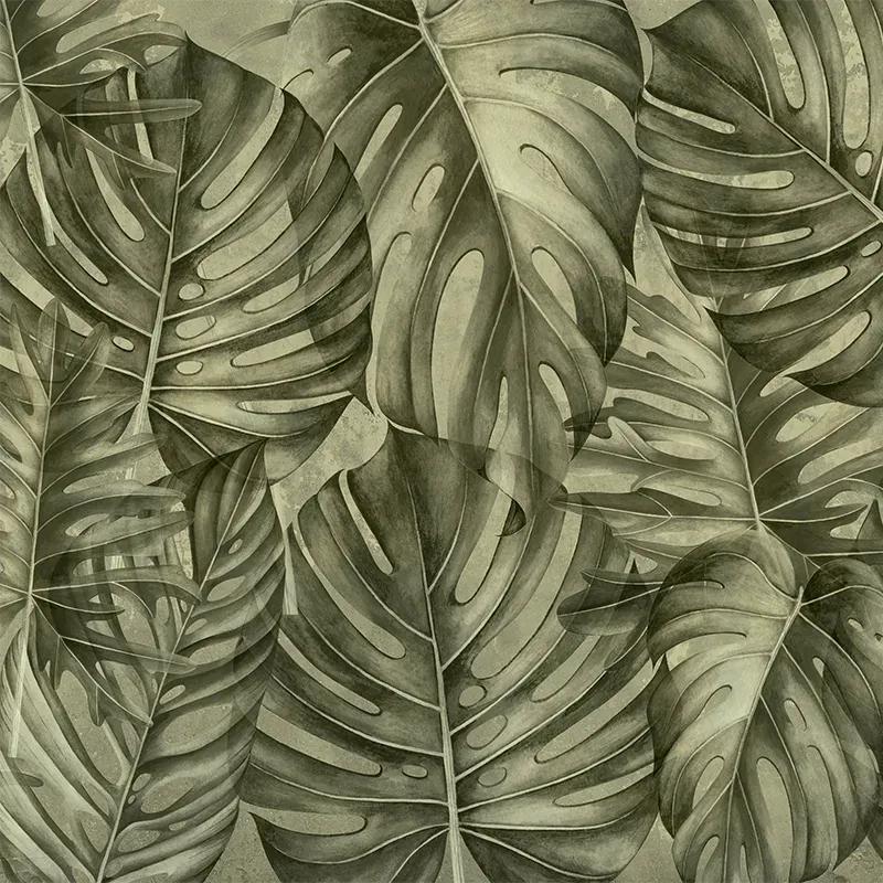 VLADILA  Sepia Philodendron - tapeta