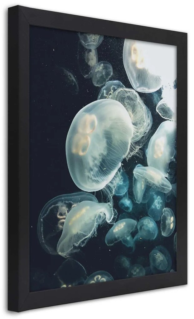 Gario Plagát Plávajúce medúzy Farba rámu: Bez rámu, Rozmery: 30 x 45 cm