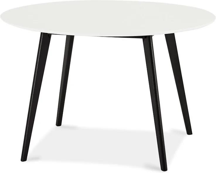Jedálenský stôl Aaden, biela / čierna
