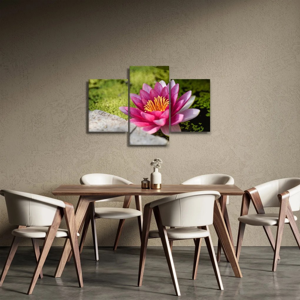Obraz - Lekno (90x60 cm)