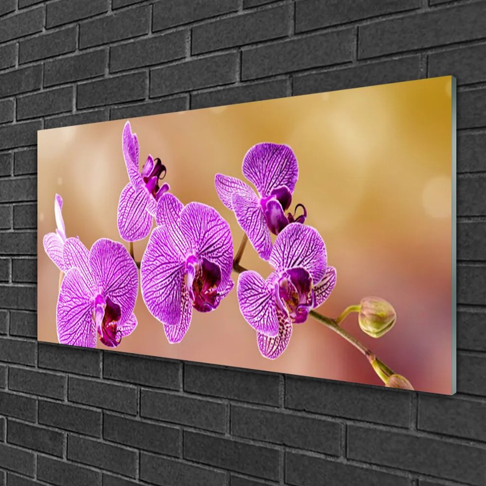 Skleneny obraz Orchidea výhonky kvety príroda 125x50 cm