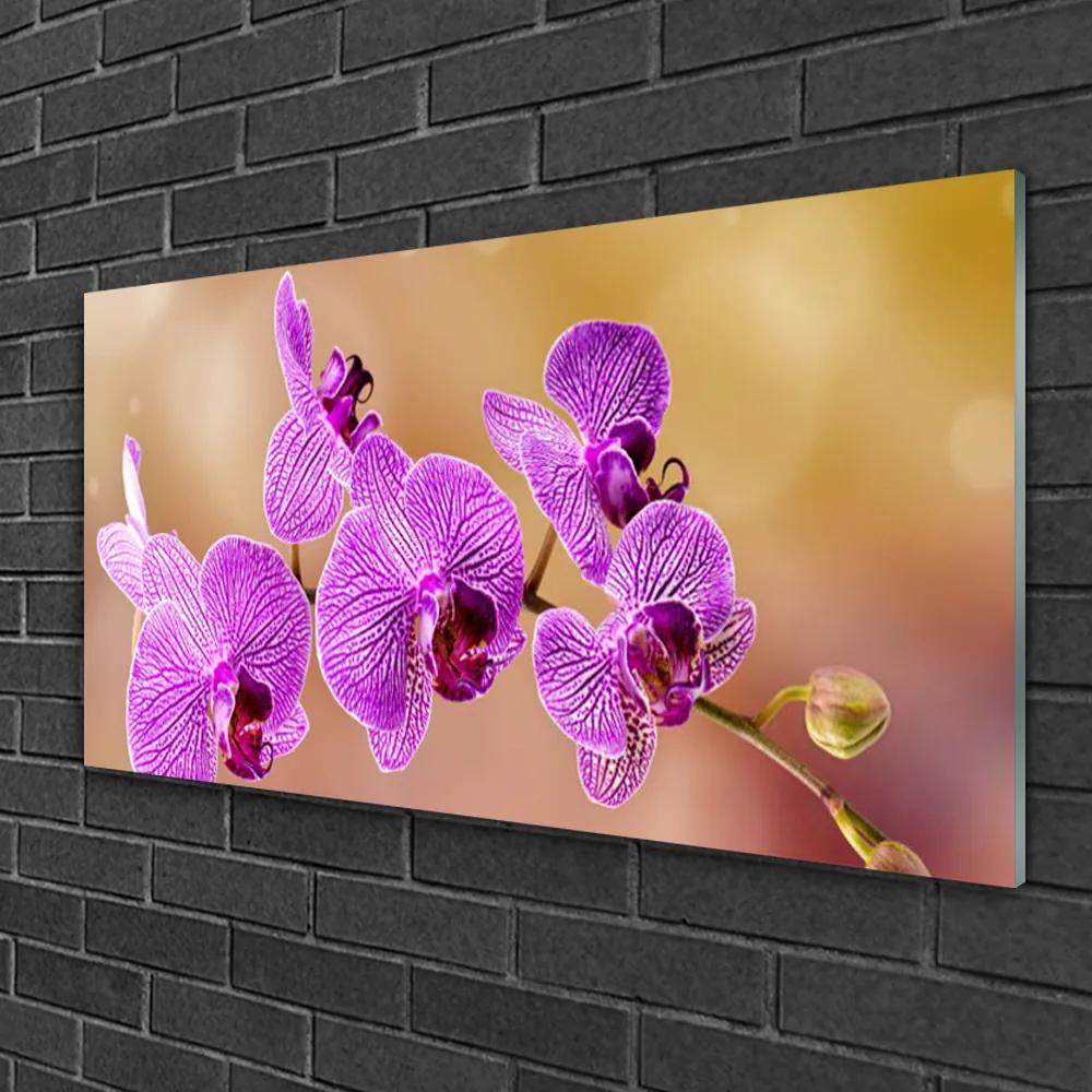 Skleneny obraz Orchidea výhonky kvety príroda 140x70 cm